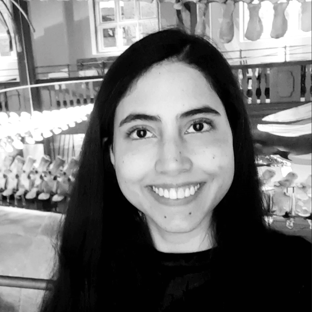 BLIXTAR111 Photo - BLIXTAR111